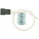 Purchase Top-Quality Instrument Panel Connector by BLUE STREAK (HYGRADE MOTOR) - S1306 pa20