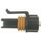 Purchase Top-Quality Instrument Panel Connector by BLUE STREAK (HYGRADE MOTOR) - S1343 pa35