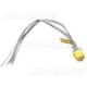 Purchase Top-Quality Instrument Panel Connector by BLUE STREAK (HYGRADE MOTOR) - S1855 pa4