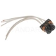 Purchase Top-Quality Connecteur de panneau de bord par BLUE STREAK (HYGRADE MOTOR) - S742 pa51