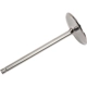 Purchase Top-Quality Intake Valve by ACDELCO - 12591644 pa2