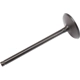 Purchase Top-Quality Intake Valve by ACDELCO - 12619825 pa1