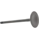 Purchase Top-Quality DNJ ENGINE COMPONENTS - IV802 - Intake Valve pa1