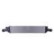 Purchase Top-Quality NISSENS - 96567 - Intercooler pa2