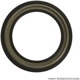 Purchase Top-Quality Intermediate Shaft Seal by TIMKEN - 710428 pa1
