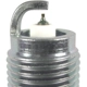 Purchase Top-Quality Iridium And Platinum Plug (Pack of 4) by NGK CANADA - 3656 pa4