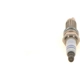 Purchase Top-Quality Iridium Plug by BOSCH - 7431 pa7