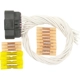 Purchase Top-Quality Keyless Entry Connector by BLUE STREAK (HYGRADE MOTOR) - S1243 pa1