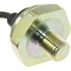 Purchase Top-Quality Knock Sensor by BLUE STREAK (HYGRADE MOTOR) - KS263 pa3