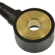 Purchase Top-Quality BLUE STREAK (HYGRADE MOTOR) - KS450 - Ignition Knock Sensor pa3