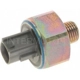 Purchase Top-Quality Knock Sensor by BLUE STREAK (HYGRADE MOTOR) - KS160 pa1
