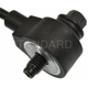 Purchase Top-Quality Knock Sensor by BLUE STREAK (HYGRADE MOTOR) - KS171 pa4