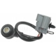 Purchase Top-Quality Knock Sensor by BLUE STREAK (HYGRADE MOTOR) - KS190 pa2