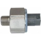 Purchase Top-Quality Knock Sensor by BLUE STREAK (HYGRADE MOTOR) - KS199 pa4
