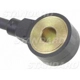 Purchase Top-Quality Knock Sensor by BLUE STREAK (HYGRADE MOTOR) - KS248 pa1