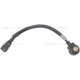 Purchase Top-Quality Détecteur de cliquetis de BLUE STREAK (HYGRADE MOTOR) - KS256 pa5