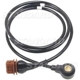 Purchase Top-Quality Knock Sensor by BLUE STREAK (HYGRADE MOTOR) - KS258 pa2