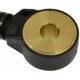 Purchase Top-Quality Knock Sensor by BLUE STREAK (HYGRADE MOTOR) - KS298 pa1