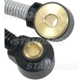 Purchase Top-Quality Knock Sensor by BLUE STREAK (HYGRADE MOTOR) - KS317 pa1