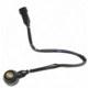 Purchase Top-Quality Détecteur de cliquetis de BLUE STREAK (HYGRADE MOTOR) - KS341 pa3