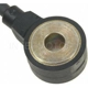 Purchase Top-Quality Knock Sensor by BLUE STREAK (HYGRADE MOTOR) - KS363 pa1