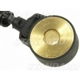 Purchase Top-Quality Knock Sensor by BLUE STREAK (HYGRADE MOTOR) - KS390 pa1