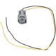 Purchase Top-Quality STANDARD - PRO SERIES - S2543 - Electrical Connector pa1