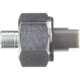 Purchase Top-Quality DELPHI - AS10283 - Ignition Knock Sensor pa3