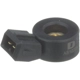 Purchase Top-Quality DELPHI - AS10293 - Ignition Knock Sensor pa1