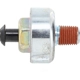 Purchase Top-Quality HOLSTEIN - 2KNC0030 - Ignition Knock pa1