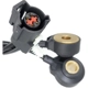 Purchase Top-Quality HOLSTEIN - 2KNC0220 - Knock Sensor pa2