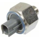 Purchase Top-Quality Knock Sensor by HOLSTEIN - 2KNC0032 pa2