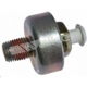 Purchase Top-Quality Knock Sensor by WALKER PRODUCTS - 242-1022 pa6