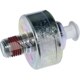 Purchase Top-Quality Knock Sensor by WALKER PRODUCTS - 242-1034 pa1