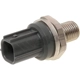 Purchase Top-Quality Knock Sensor by WALKER PRODUCTS - 242-1046 pa7
