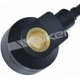 Purchase Top-Quality Knock Sensor by WALKER PRODUCTS - 242-1052 pa5