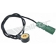 Purchase Top-Quality Knock Sensor by WALKER PRODUCTS - 242-1078 pa3