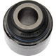 Purchase Top-Quality Knuckle Bushing by DORMAN (OE SOLUTIONS) - 533-875 pa1