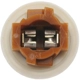 Purchase Top-Quality BLUE STREAK (HYGRADE MOTOR) - S815 - Back Up Light Socket pa3