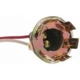 Purchase Top-Quality Lamp Socket by BLUE STREAK (HYGRADE MOTOR) - HP4050 pa12