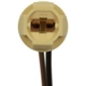 Purchase Top-Quality Lamp Socket by BLUE STREAK (HYGRADE MOTOR) - HP4070 pa22