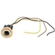 Purchase Top-Quality Lamp Socket by BLUE STREAK (HYGRADE MOTOR) - HP4110 pa16