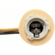 Purchase Top-Quality Lamp Socket by BLUE STREAK (HYGRADE MOTOR) - HP4110 pa19