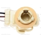 Purchase Top-Quality Lamp Socket by BLUE STREAK (HYGRADE MOTOR) - HP4120 pa2