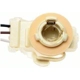 Purchase Top-Quality Lamp Socket by BLUE STREAK (HYGRADE MOTOR) - HP4120 pa47