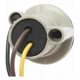 Purchase Top-Quality Lamp Socket by BLUE STREAK (HYGRADE MOTOR) - HP4150 pa12