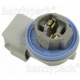 Purchase Top-Quality Lamp Socket by BLUE STREAK (HYGRADE MOTOR) - HP4245 pa10
