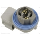 Purchase Top-Quality Lamp Socket by BLUE STREAK (HYGRADE MOTOR) - HP4245 pa3