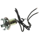 Purchase Top-Quality Lamp Socket by BLUE STREAK (HYGRADE MOTOR) - HP4570 pa17