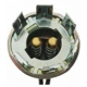 Purchase Top-Quality Lamp Socket by BLUE STREAK (HYGRADE MOTOR) - HP4570 pa18